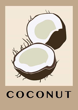 Coconut Illustration