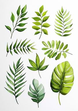 Watercolor Tropical Leaves