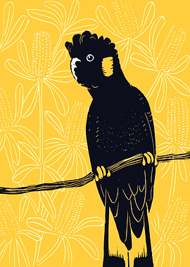 Black Cockatoo on Branch