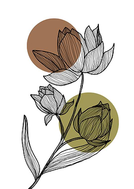 Floral lotus Line Art with Circles