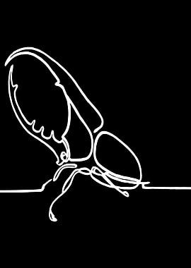 Beetle Line Art