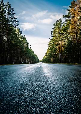 Forest Road