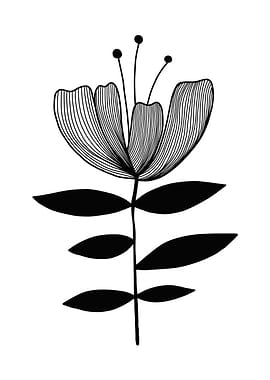 Black and White Floral Illustration