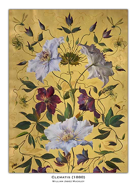 Clematis Flower Painting