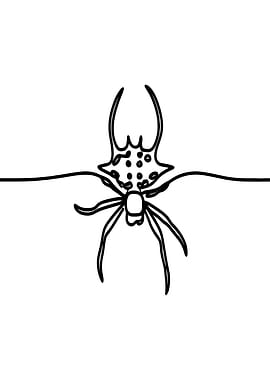Devil's Crab Orbweaver Spider Line Art