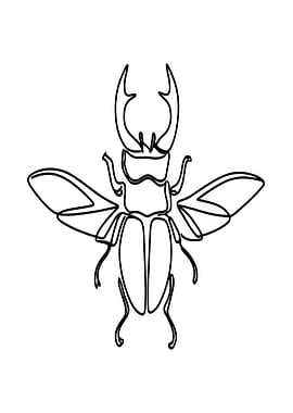 Stag Beetle Line Art