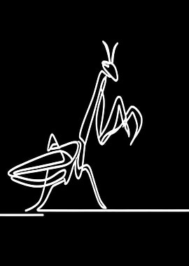 Praying Mantis Line Art