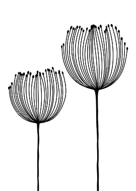 Black and White Wildflower Art