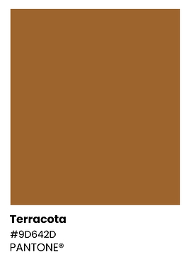 Terracotta Color Swatches