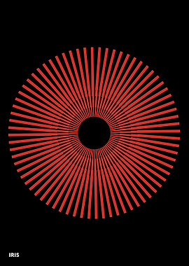 Iris Red Sunburst Abstract