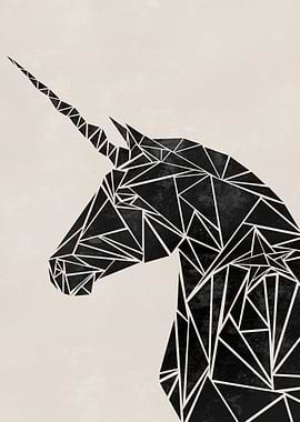 Geometric Unicorn