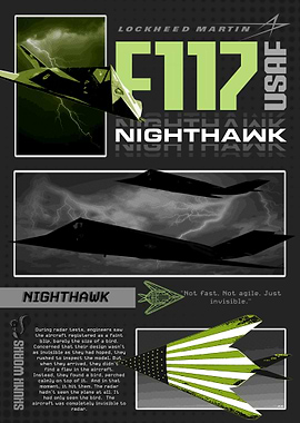 F-117 Nighthawk Stealth Fighter Jet