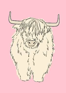 Pink Highland Cow