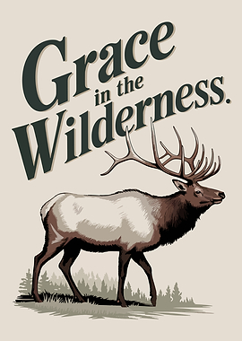 Grace in the Wilderness