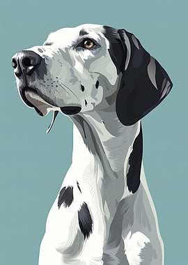 Dalmatian Dog Portrait