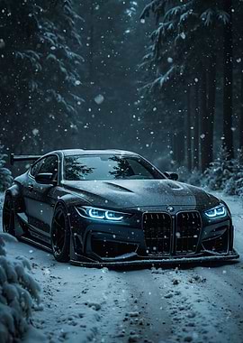 Black BMW in Snowy Forest