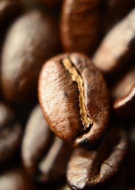 Roasted Coffee Beans