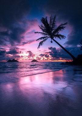 Tropical Sunset Beach in Hawaii