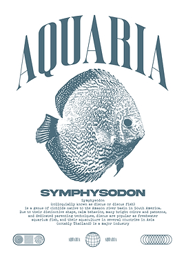 Discus Fish Aquarist Tropical Fish Keeper