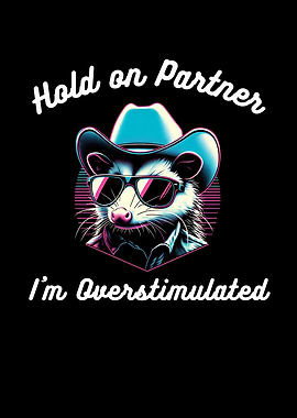 Opossum in Cowboy Hat