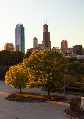 The Chicago Skyline at Sunset
