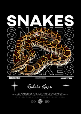 Burmese Python Snake Owner