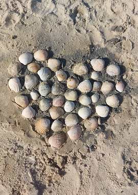 Seashell Heart on Beach
