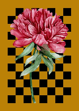 Watercolor Peony on Checkerboard