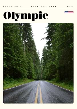 Olympic National Park Travel Art Poster