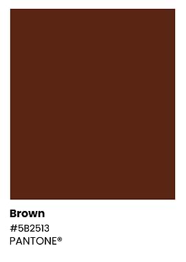 Pantone Brown Color Swatch