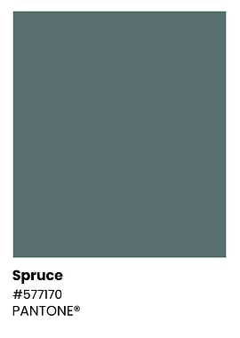 Pantone Color Chart - Spruce
