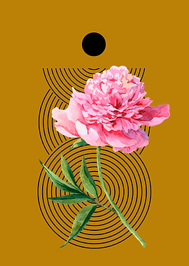 Pink Peony with Geometric Pattern