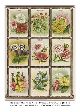 Vintage Flower Chart