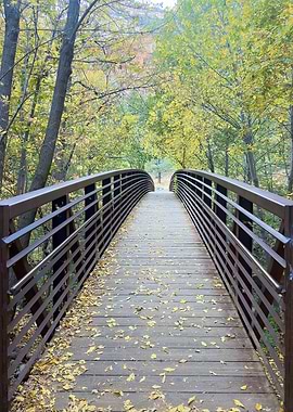 Wooden Bridge in Autumn Forest