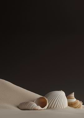 Seashells on Sand