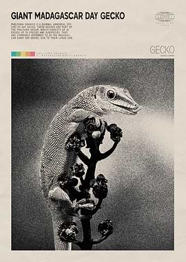 Giant Madagascar Day Gecko Poster