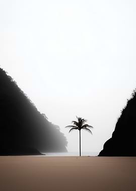 Palm Tree on a Misty Beach