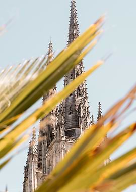 Cathedral Through Palm Leaves