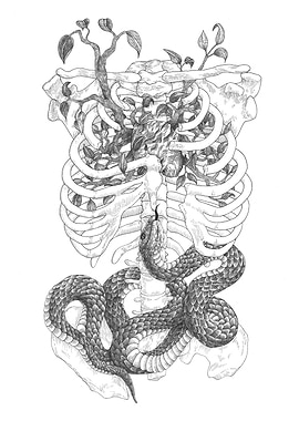 Snake and Ribcage