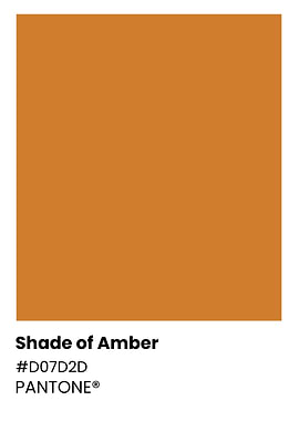 Pantone Shade of Amber