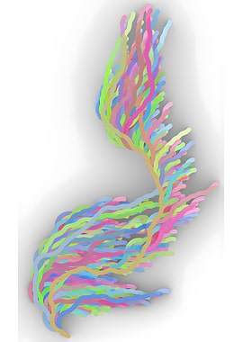 Abstract colorful lines