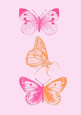 Pink and Orange Butterflies
