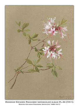 Watercolor Painting of White Flowers