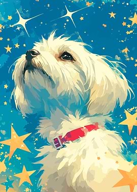 Inspirational Maltese and Stars Minimalist Art Illustration