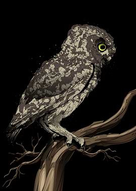 Enchanting Tawany Owl