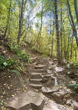 Stone Steps in Forest