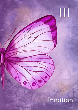 Butterfly Angel Number 111 Intuition