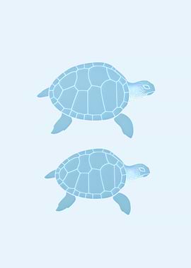 Blue Turtles Marine Nautical