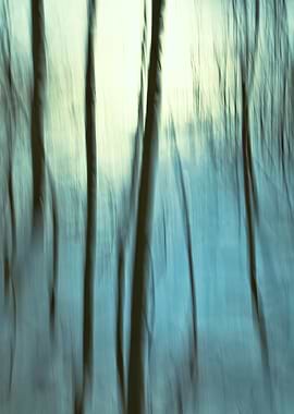 Abstract Forest