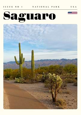 Saguaro National Park Travel Art Poster